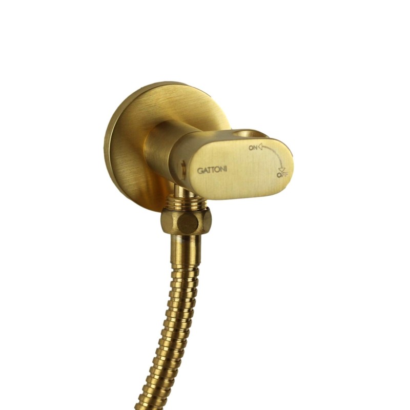 cepillo de baño hidráulico Hidroescobilla de baño en color oro cepillado Gattoni RT021SG