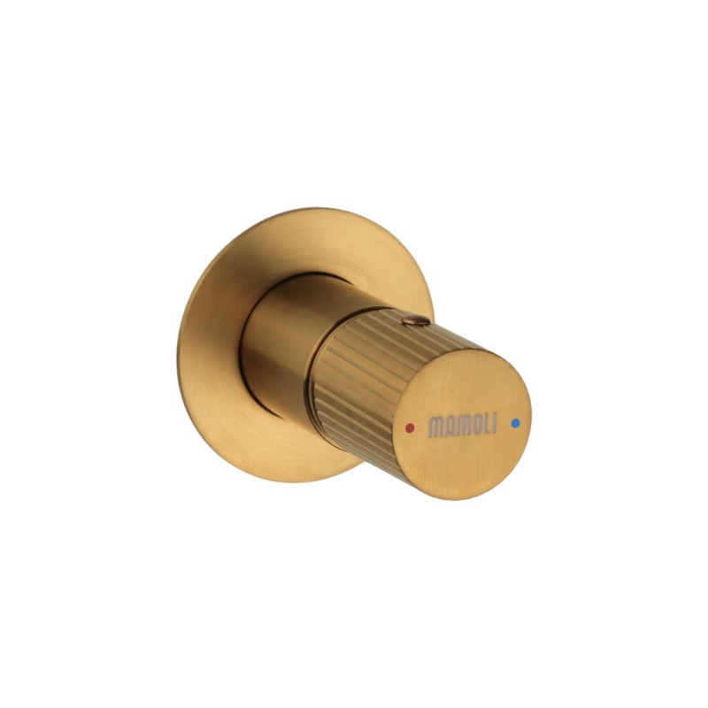Built-in shower taps Built-in single-lever shower mixer 1 outlet brushed brass color Mamoli Tuttodunpezzo 37300000002G