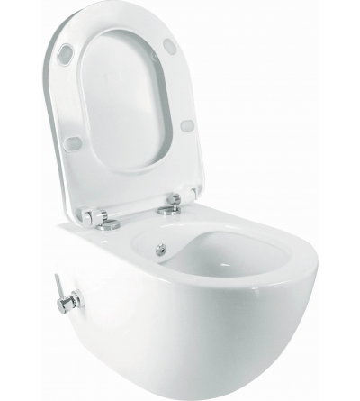 Suspended WC Wall-hung ceramic toilet without rim with mixer for bidet function, glossy white colour Deante Peonia CBP_6WPW