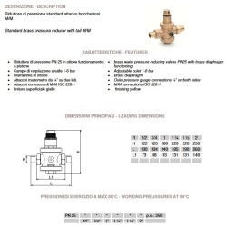 Pressure reducer for water connection 1/2" Gas max 6 bar APM 5540.15