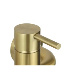 Wall mounted kitchen sink mixer in brushed gold PVD stainless steel with swivel spout Pollini Acqua Design AP2071C