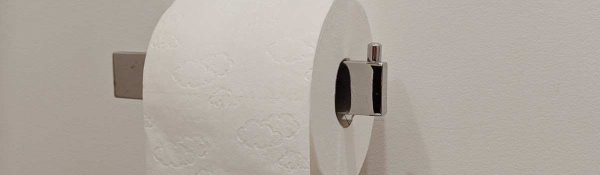 Porta carta igienica coperto accessori bagno elegante Roma